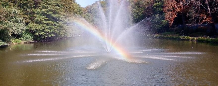 Maribor City Park