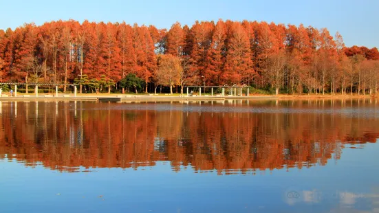 Saitama Prefectural Misato Park