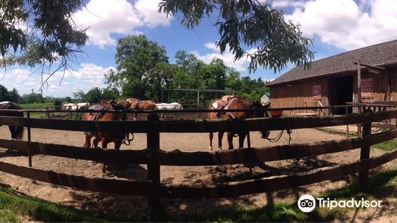 Claireville Conservation Area