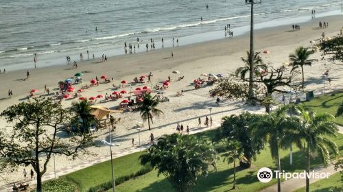 Aparecida Beach