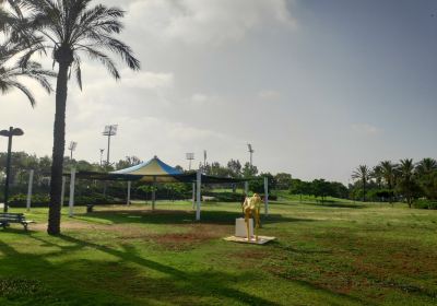 Kfar Saba Park