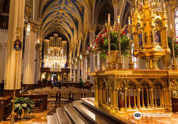 Basilica of the Sacred Heart
