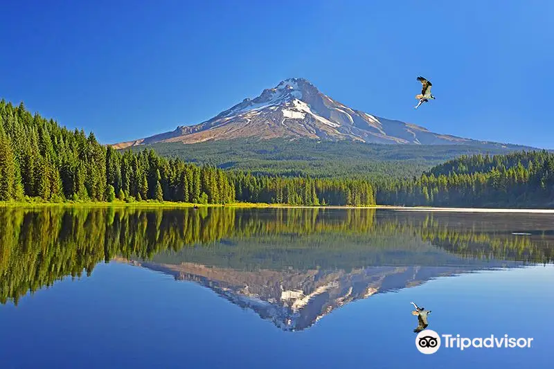 Trillium Lake