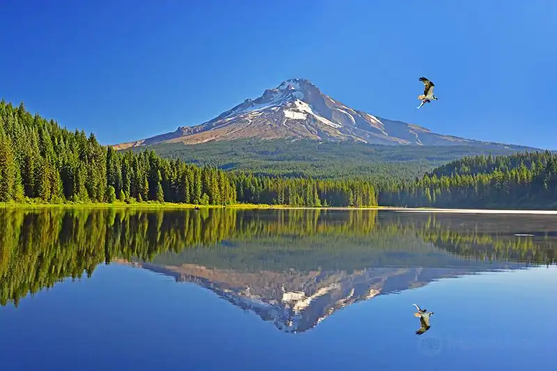 Hotels in der Nähe von Trillium Lake