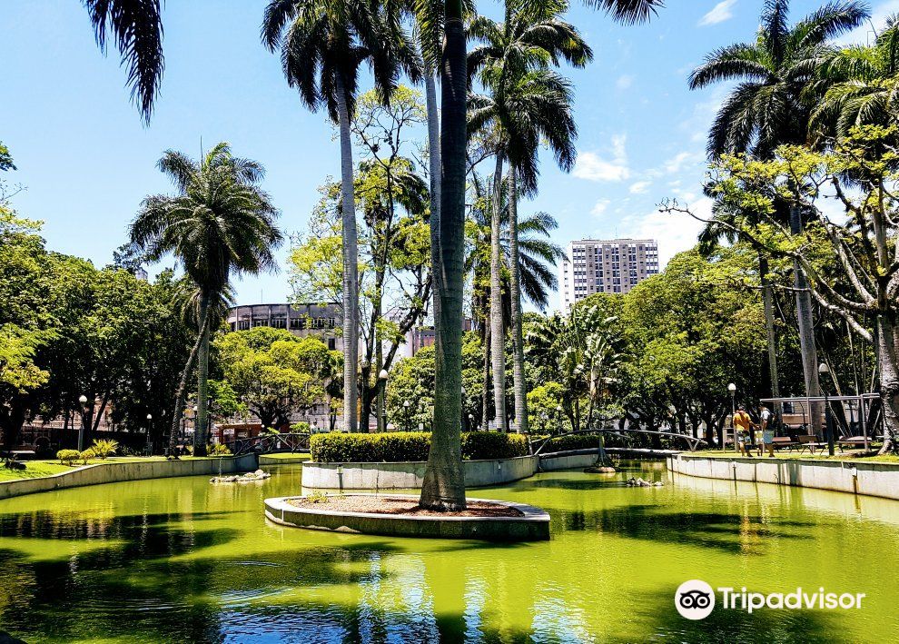 Parque Moscoso