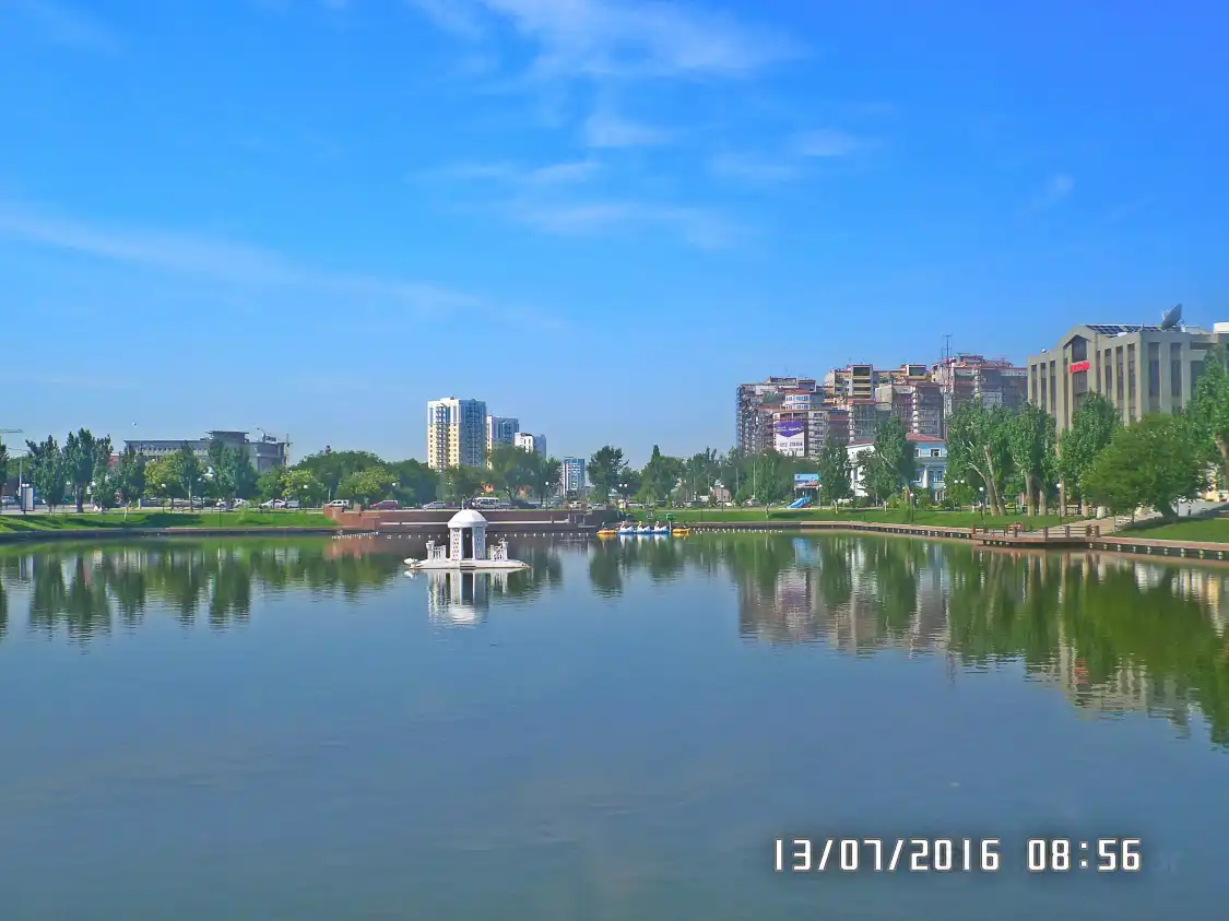 Hotels near Swan Lake