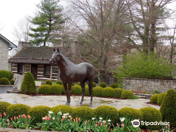Coolmore - Ashford Stud
