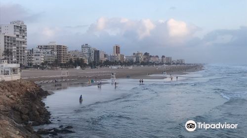 Playa Gandia