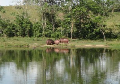 Parque Temático Hacienda Nápoles