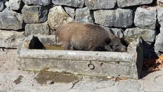 Parc aux animaux du Bois-de-la-Batie