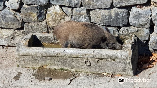 Parc aux animaux du Bois-de-la-Batie