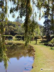 Vumba Botanical Gardens and Reserve