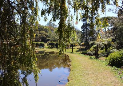 Vumba Botanical Gardens and Reserve