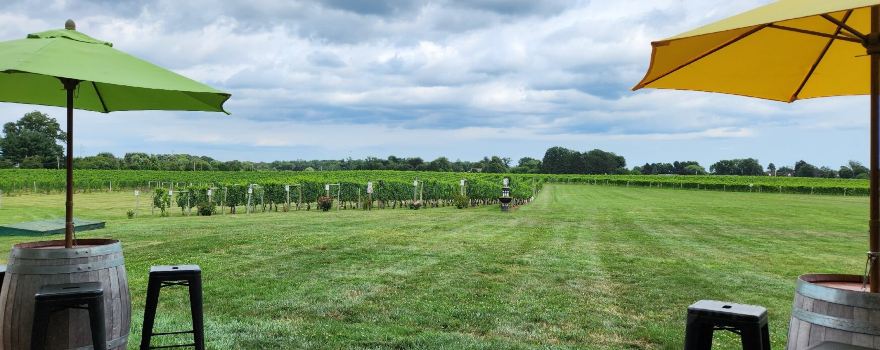 Working Dog Winery