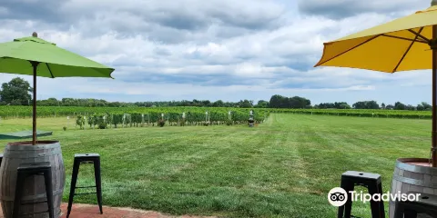 Working Dog Winery