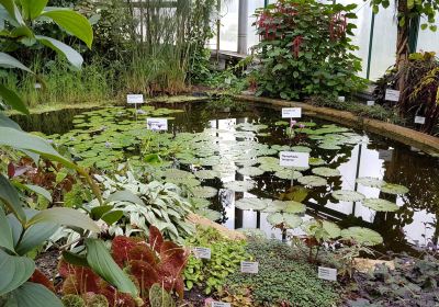 Liberec Botanic Gardens