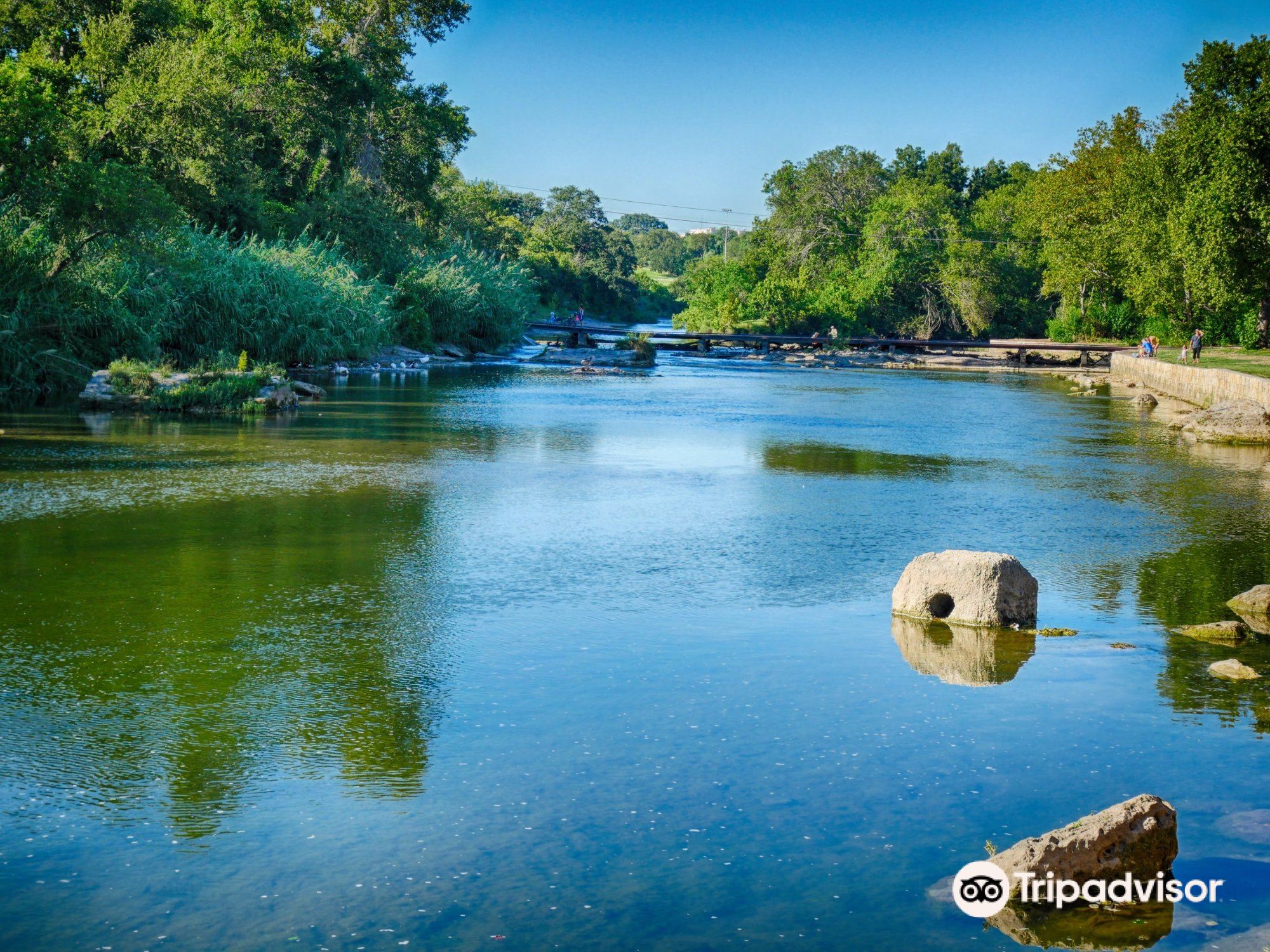 Hotels Near First Shiloh Baptist Church, Williamson County Book with