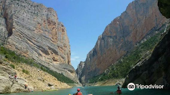 Albatros Escuela de vuelo