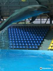Delfin Aquapark