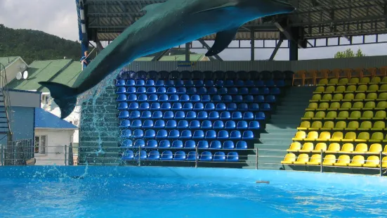 Delfin Aquapark