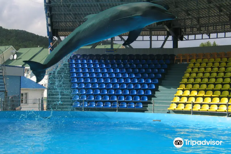 Delfin Aquapark