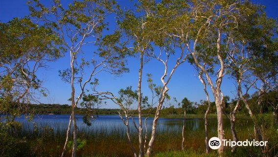 North Stradbroke Island