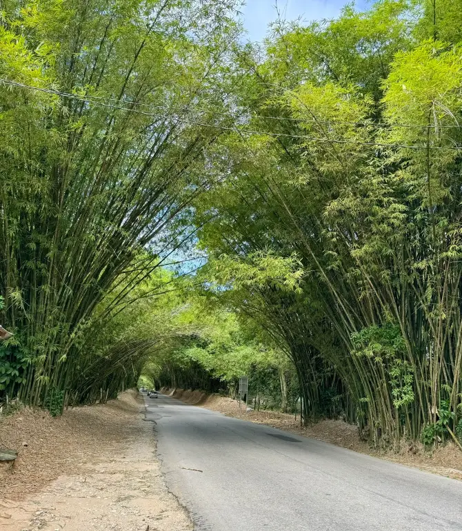West Lacovia