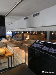 La Almoina Archaeological Museum