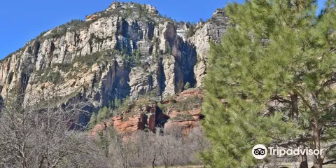 Call of the Canyon Picnic Site