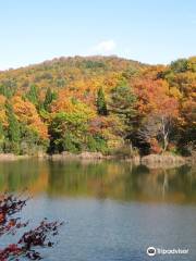 Mominoki Shinrin Koen (Fir forest park)