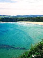 Playa de Langre