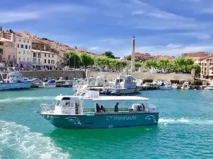 KapMer | Navette - Promenade - Dauphin