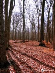 Walnut Point State Park