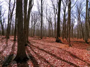 ウォルナット・ポイント州立公園