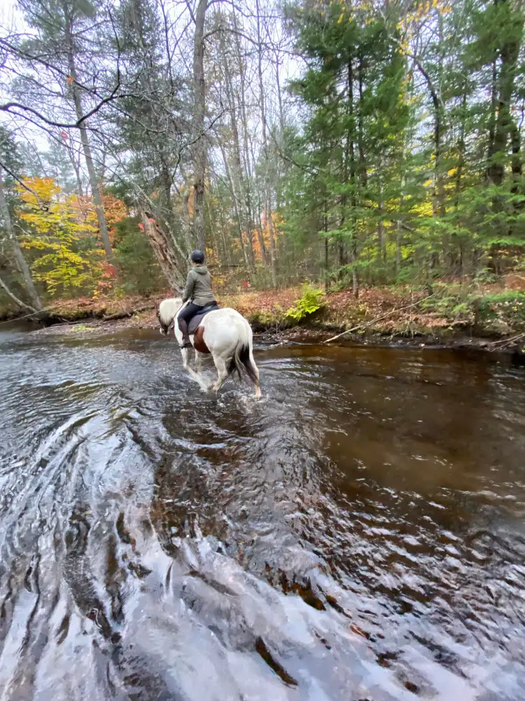 Hotels in South Oxford