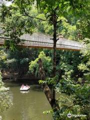 Nisargadhama Forest