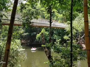 NISARGADHAMA RESERVE