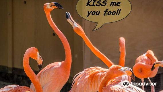 Lincoln Children's Zoo