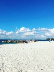 Apollo Beach Nature Preserve