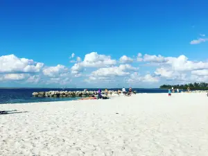 Apollo Beach Nature Preserve