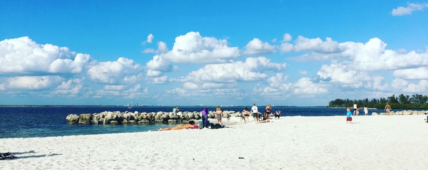 Apollo Beach Preserve