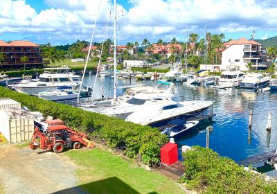 American Yacht Harbor