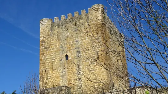Torre de Lezana de Mena