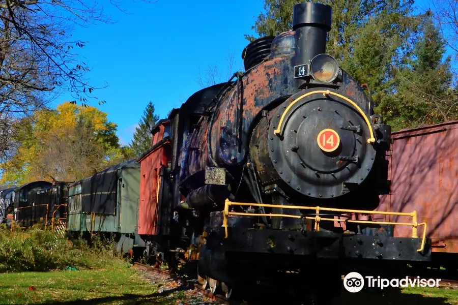 Delaware & Ulster Railroad