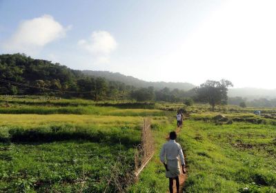 Swamimalai Hills