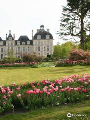 Loire Valley Gardens