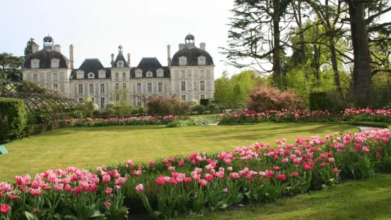 Loire Valley Gardens