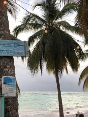 Crystal Waters Beach Bar