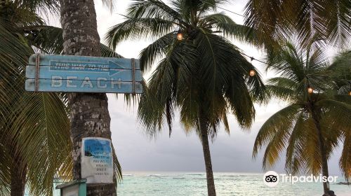 Crystal Waters Beach Bar