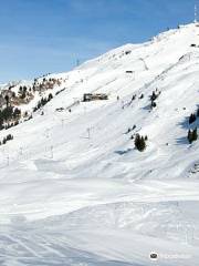 Alpenhaus am Kitzbüheler Horn